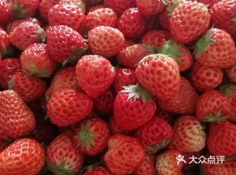 谜语：羊在山坡吃草，打一水果名称，答案：草莓