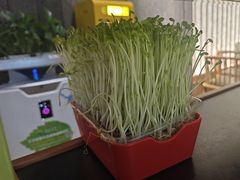 -番食园鲜食火锅(高新店)