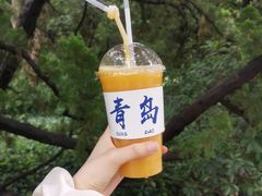 -八大关景区