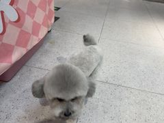 -FAELING PETS美天灵宠物(富力广场店)