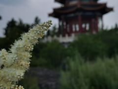 -北药泉