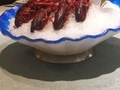 -宝燕壹号(徐汇店)