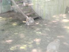 -水绘园