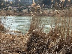 -南北地理分界线标志园