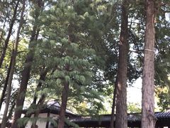 -李时珍纪念馆