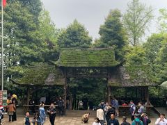 -青城道汤池