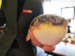 -永安鱼庄·镇江菜(丁卯店)