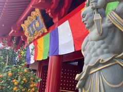 -新加坡佛牙寺龙华院