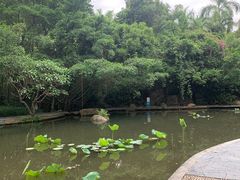 -燕晗山郊野公园