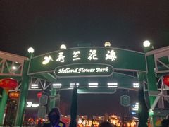 -荷兰花海