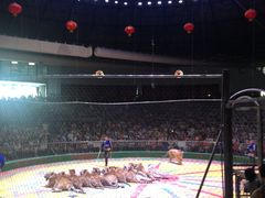 -西安秦岭野生动物园