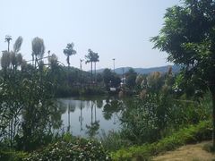 -枫香湖儿童公园