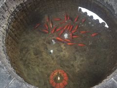 -不倒翁·徽天下名菜楼(马鞍山路店)