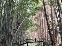 -同里国家湿地公园