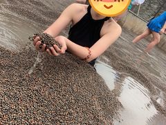 -三江森林温泉度假区