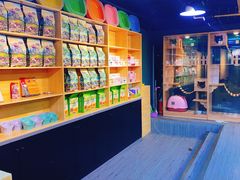 -猫十亿·布偶金渐层·曼基康矮脚猫舍(青年路店)