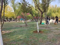 -泰丰公园