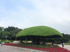 -南宁南湖公园