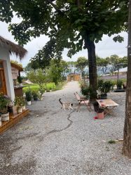 -DORA kids 朵拉儿童摄影花园店