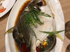 清蒸石斑-Isla Sugbu Seafood City