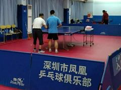 -大凤凰乒乓球馆