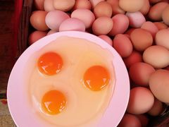 -长兴慧子土特产茶行