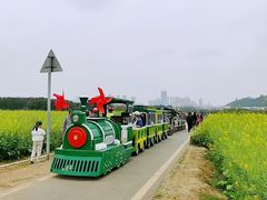 -光明小镇欢乐田园