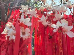 -长春观