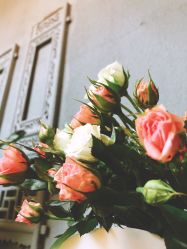 -花隐·美芙炫海菲秀皮肤管理中心