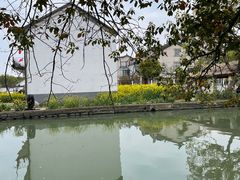 -同里国家湿地公园
