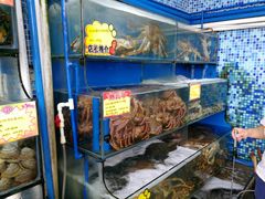 -蚝专家(北滘店)