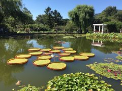 -国家植物园南园