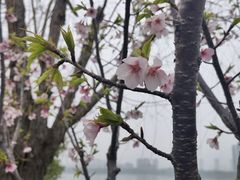 -艾溪湖湿地公园