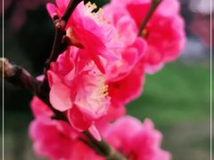 -贵阳市花溪国家城市湿地公园