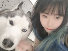 -Husky Go!哈士奇体验馆·宠物咖啡厅狗咖