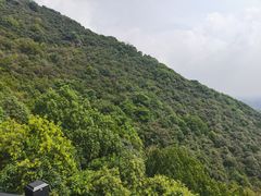 -杭州半山国家森林公园