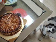 -都恩客(高岛屋百货店)