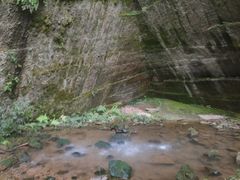 -川西竹海景区