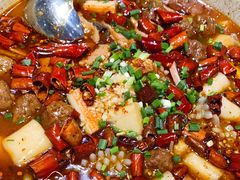-大草原清真饭庄(沙河店)