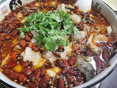 麻辣肥肠鱼-金卯白肉罩火烧