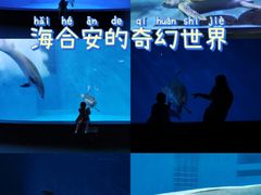 -海合安成都极地海洋公园