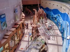 -陕西自然博物馆