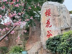 -狐尾山公园