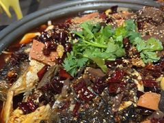 翡翠青椒鱿鱼花烤鱼-友记功夫香·人民川菜(红牌楼店)