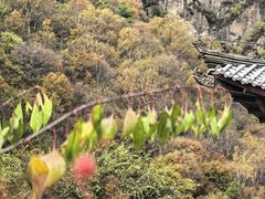 -小五台金河景区