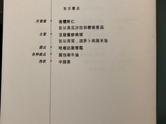 -新加坡航空公司(ION)