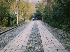 -紫金山索道-售票处