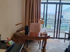 -宜春明月山维景国际温泉度假酒店