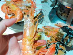 -五月罗马海鲜自助餐厅(陆家嘴店)