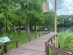 -梁鸿国家湿地公园